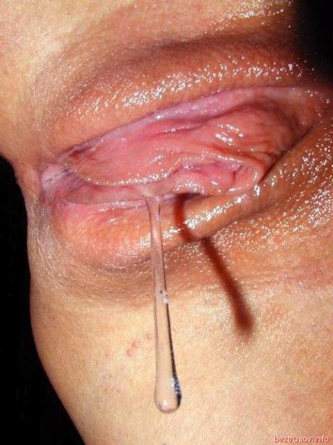 Порно фото кисок в сперме, вытекающей из влагалища